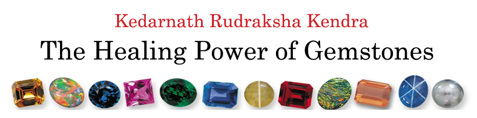 kedarnath Rudraksha